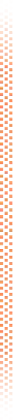 pipelineImg